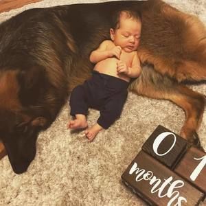 Meet your Posher, Rick